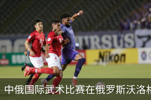 中俄国际武术比赛在俄罗斯沃洛格达开赛